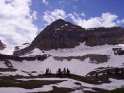 timp