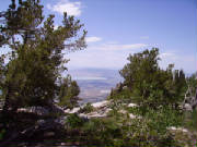 IMGP0085.JPG