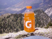 IMGP0108.JPG